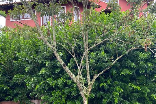 Área externa de kitnet/studio para alugar com 1 quarto, 30m² em Canaa, Belo Horizonte