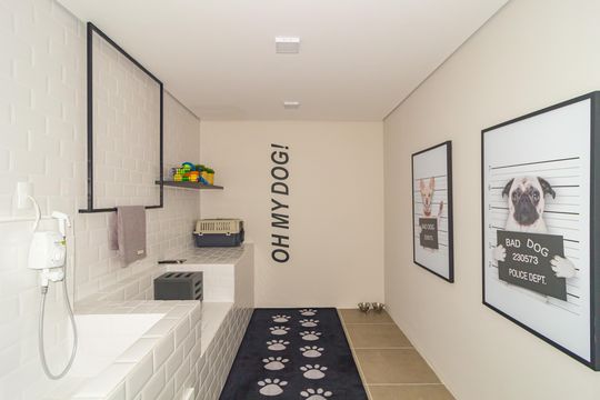 Pet Care de apartamento para alugar com 1 quarto, 28m² em Brás, São Paulo