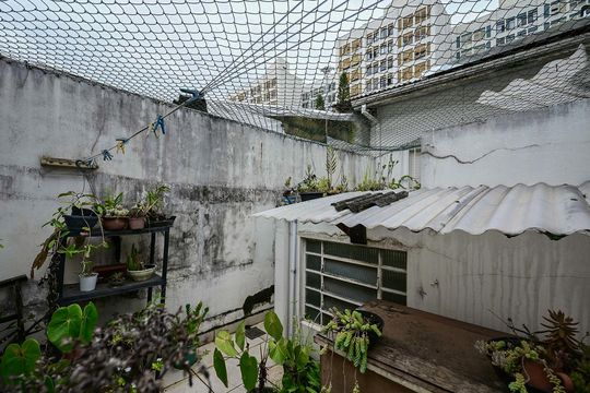 Quintal de casa à venda com 2 quartos, 90m² em Vila Progredior, São Paulo