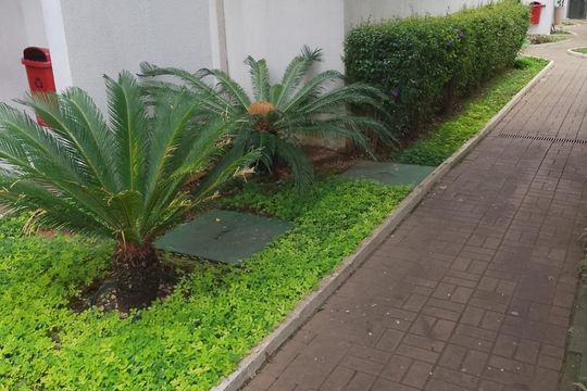 Foto 07 de apartamento à venda com 2 quartos, 48m² em Jardim Colonial, São Paulo