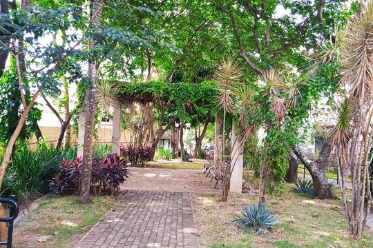 Área comum de apartamento para alugar com 2 quartos, 48m² em Jardim Santa Terezinha (nova Veneza), Campinas