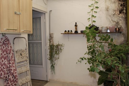 Apartamento à venda com 1 quarto, 65m² em Campos Elíseos, São Paulo