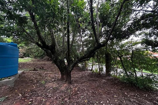 Casa de Condomínio para alugar com 6 quartos, 3000m² em Vale das Laranjeiras, Indaiatuba