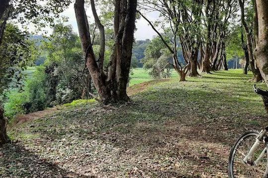 Casa à venda com 4 quartos, 360m² em Alphaville, Santana de Parnaíba