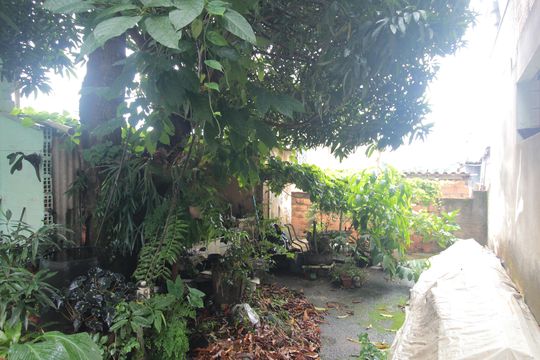 Quintal de casa à venda com 3 quartos, 360m² em Copacabana, Belo Horizonte