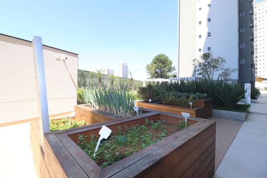 Área comum - Horta de apartamento à venda com 2 quartos, 50m² em Vila Alzira, Santo André