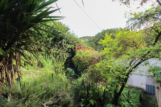 Quintal de casa à venda com 2 quartos, 378m² em Ouro Preto, Belo Horizonte