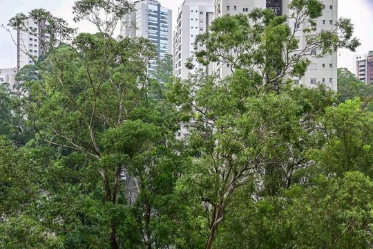 Vista da Suíte 1 de apartamento à venda com 3 quartos, 223m² em Vila Morumbi, São Paulo