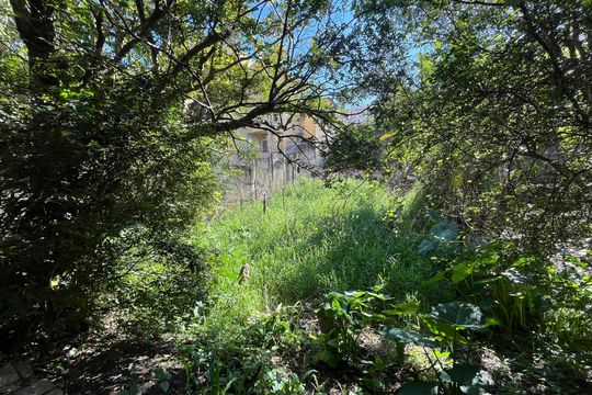 Área externa de casa à venda com 2 quartos, 800m² em Tucuruvi, São Paulo