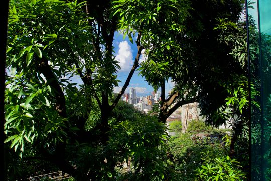 Apartamento à venda com 2 quartos, 75m² em Gutierrez, Belo Horizonte