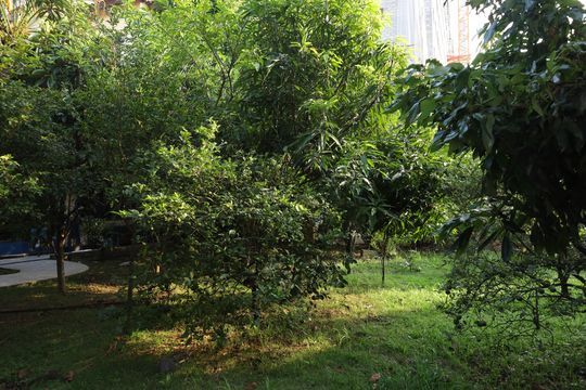 Área comum de casa para alugar com 4 quartos, 1395m² em Vila Curuçá Velha, São Paulo