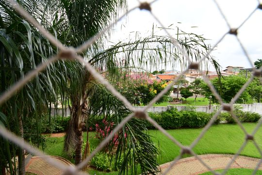 Área de Serviço - Vista de apartamento à venda com 2 quartos, 50m² em Jardim Myrian Moreira da Costa, Campinas