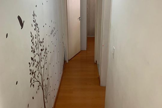 Corredor de apartamento à venda com 2 quartos, 44m² em Jardim Santa Teresinha, São Paulo