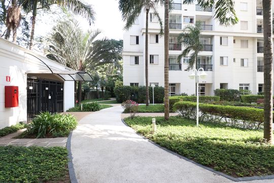 Área comum  de apartamento para alugar com 2 quartos, 51m² em Vila Anastácio, São Paulo