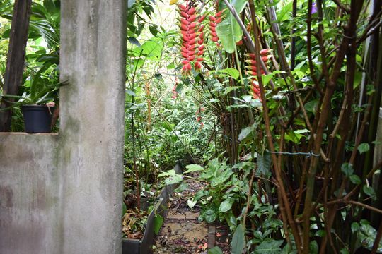 Quintal de casa à venda com 4 quartos, 250m² em Parque Imperial, São Paulo