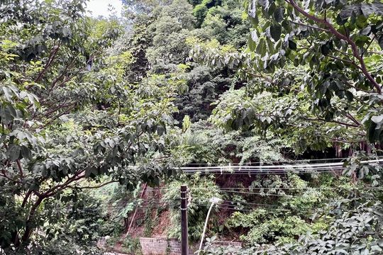 vista  de apartamento à venda com 2 quartos, 90m² em Buritis, Belo Horizonte