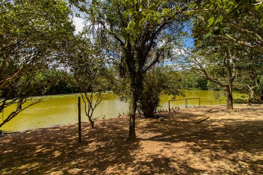 Área comum - Lago de casa de condomínio para alugar com 4 quartos, 298m² em Granja Viana Ii, Cotia