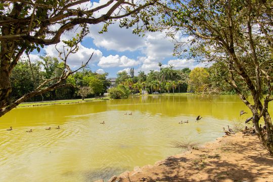 Área comum - Lago de casa de condomínio para alugar com 4 quartos, 298m² em Granja Viana Ii, Cotia