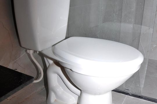Detalhe - Banheiro Social de apartamento para alugar com 1 quarto, 45m² em Jardim Cidade Pirituba, São Paulo