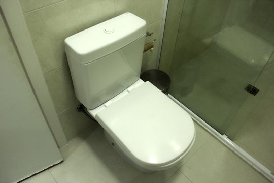 Banheiro da Suíte de apartamento para alugar com 1 quarto, 106m² em Aparecida, Santos