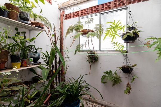 Jardim de casa à venda com 3 quartos, 95m² em Casa Verde, São Paulo