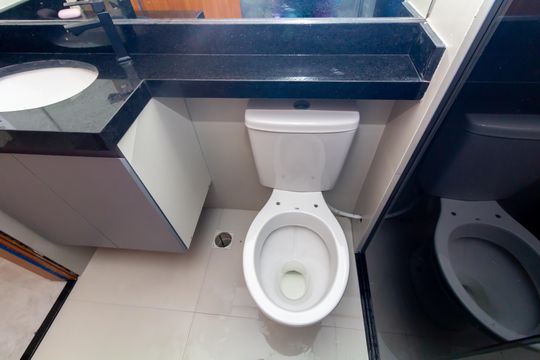 Banheiro de apartamento à venda com 2 quartos, 46m² em Colônia (zona Leste), São Paulo