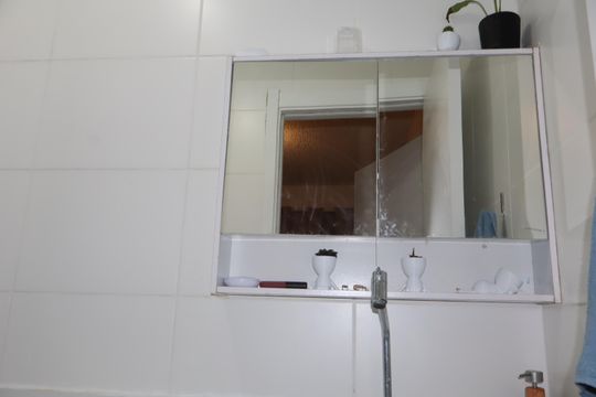 Apartamento para alugar com 1 quarto, 29m² em Vila Ema, São Paulo