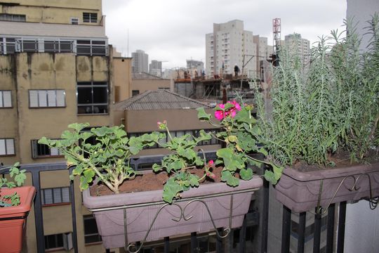 Kitnet/Studio à venda com 1 quarto, 24m² em Campos Elíseos, São Paulo