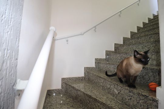 Escada Cobertura de apartamento à venda com 3 quartos, 140m² em Vila Helena, Santo André