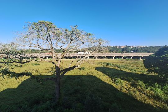 Apartamento para alugar com 2 quartos, 39m² em Parque Santa Rosa, Suzano