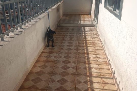Área externa de apartamento à venda com 3 quartos, 180m² em Alto Caiçaras, Belo Horizonte
