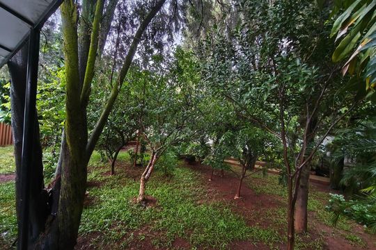 Área externa de casa para alugar com 3 quartos, 450m² em Setor Marista, Goiânia
