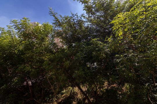 Suíte 2 - Vista de casa para alugar com 8 quartos, 133m² em Santana, São Paulo