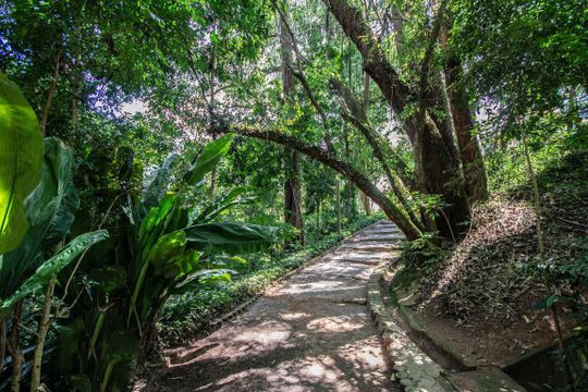 Bosque de apartamento à venda com 4 quartos, 211m² em Parque do Morumbi, São Paulo