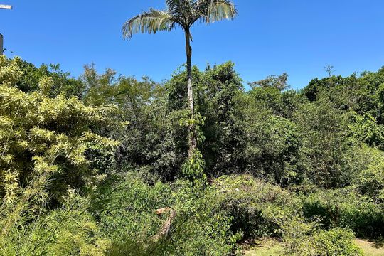 Vista de apartamento para alugar com 4 quartos, 180m² em Lagoa da Conceição, Florianópolis