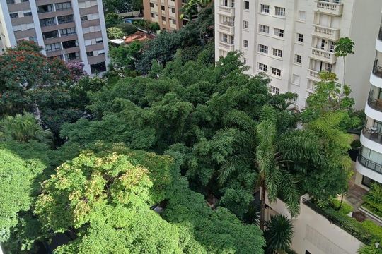 Vista da janela de apartamento para alugar com 3 quartos, 110m² em Vila Uberabinha, São Paulo
