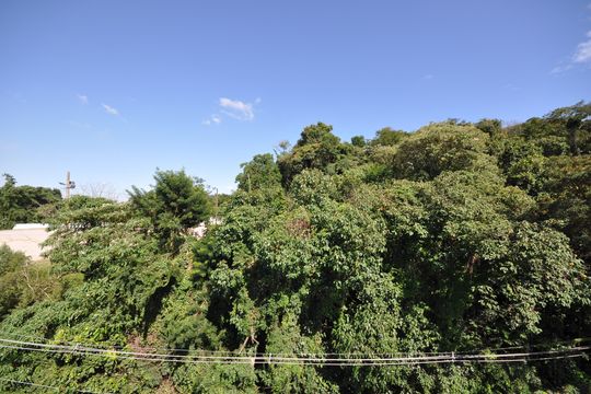 Vista do Quarto de apartamento à venda com 1 quarto, 33m² em Tucuruvi, São Paulo
