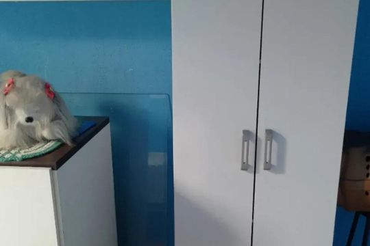 Apartamento à venda com 2 quartos, 44m² em Jardim Nascimento, São Bernardo do Campo