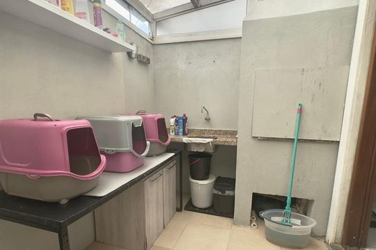 Área de serviço de casa de condomínio à venda com 3 quartos, 122m² em Medianeira, Porto Alegre