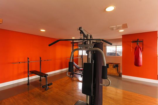 Área comum - Academia de apartamento à venda com 2 quartos, 60m² em Tatuapé, São Paulo