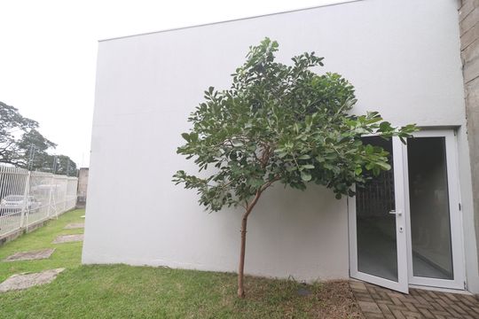 Área comum - Salão de festas de apartamento para alugar com 2 quartos, 53m² em Rondônia, Novo Hamburgo