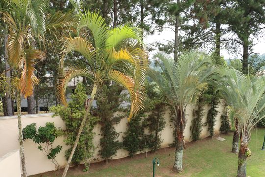 Área comum de casa de condomínio para alugar com 5 quartos, 517m² em Caiapia, Cotia