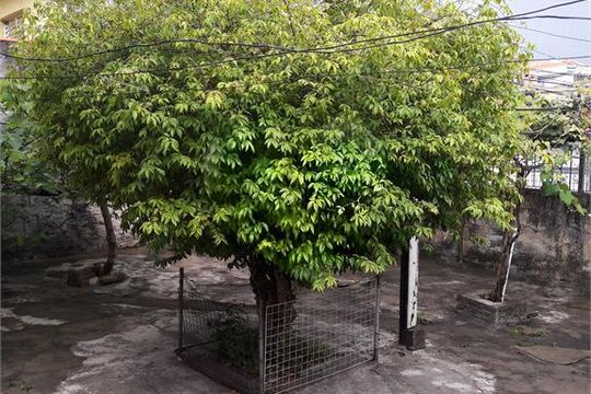 Casa à venda com 2 quartos, 120m² em Freguesia do Ó, São Paulo