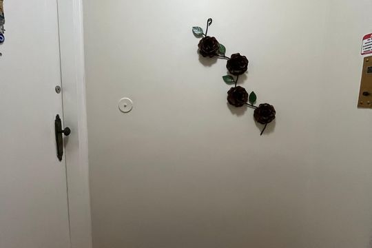 Hall de entrada de apartamento para alugar com 3 quartos, 100m² em Ipanema, Rio de Janeiro