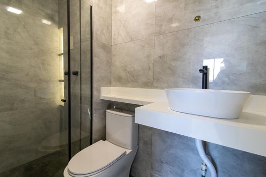 Banheiro de apartamento para alugar com 2 quartos, 39m² em Residencial Parque da Fazenda, Campinas