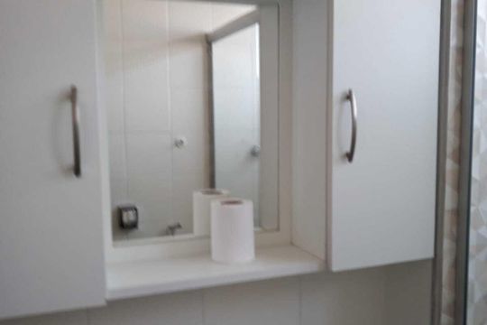 Banheiro de apartamento para alugar com 2 quartos, 65m² em Lins de Vasconcelos, Rio de Janeiro