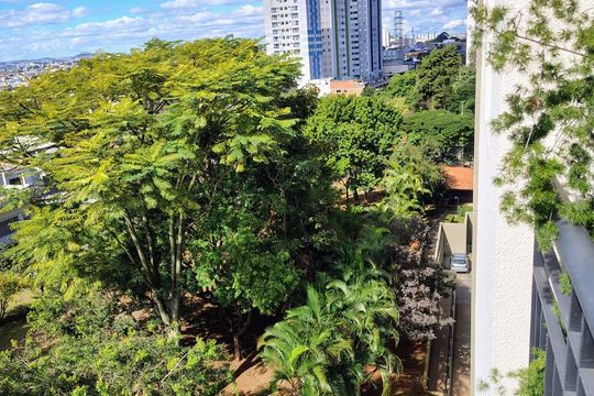 Apartamento à venda com 3 quartos, 63m² em São Lucas, São Paulo