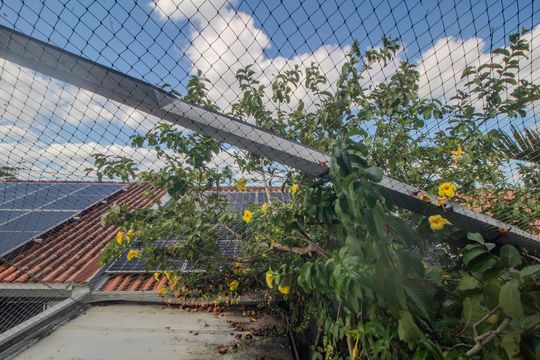 Vista de casa à venda com 3 quartos, 102m² em Hípica, Porto Alegre