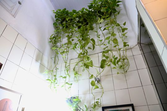 Área de Serviço de casa à venda com 2 quartos, 100m² em Jardim São Luís, São Paulo
