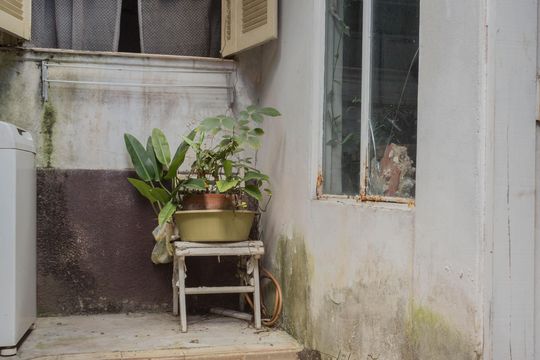 Área de Serviço de casa à venda com 4 quartos, 196m² em Centro, São Bernardo do Campo